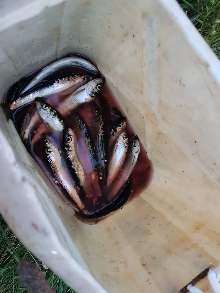 sgAgm4e2Ymr7Ji73pr5NtnGEGRpXyAfE8GFinLvVluxO17JRxcGwfgn0Fe0cDa2L2CHO2D1vGXj5IAIxbZs=s1000