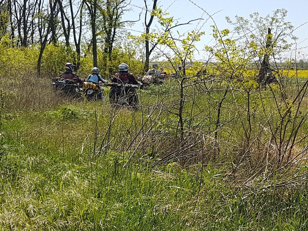 v_C1U_ygN7i8td-XtA5tFjdFhbIBpdveioezAwE8eh0TuBv33EFzWih_wTwpjk-q-zWRLa45tvlvKAx-z3w=s1000