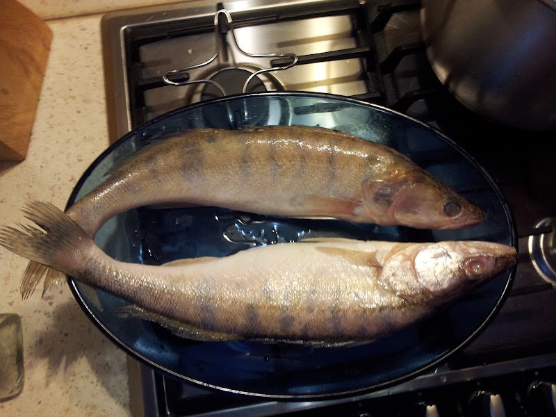 20130217_180539%255B1%255D.jpg