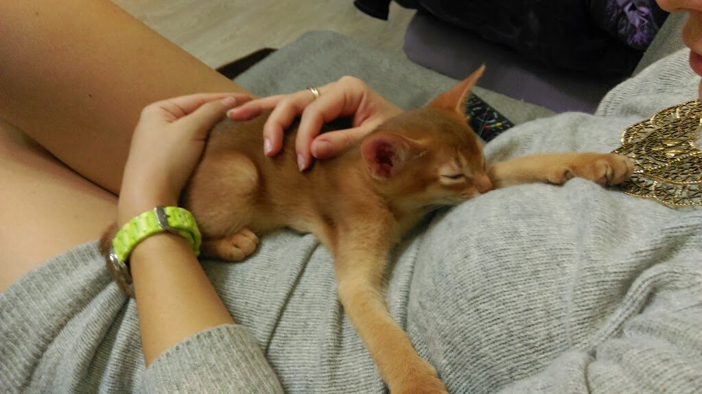 IMAG0455.jpg