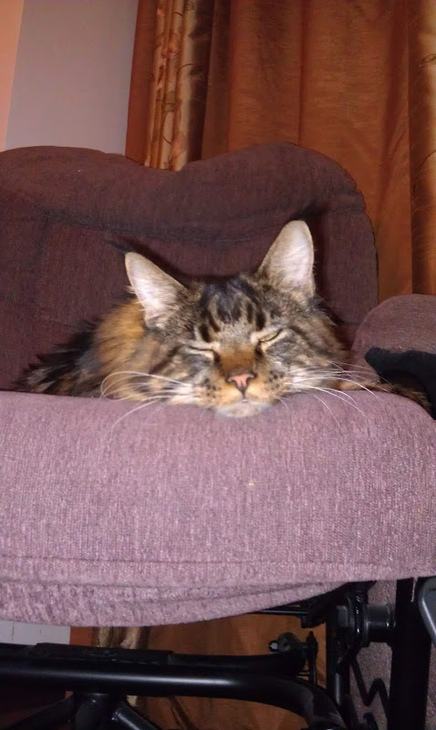 IMAG0249.jpg