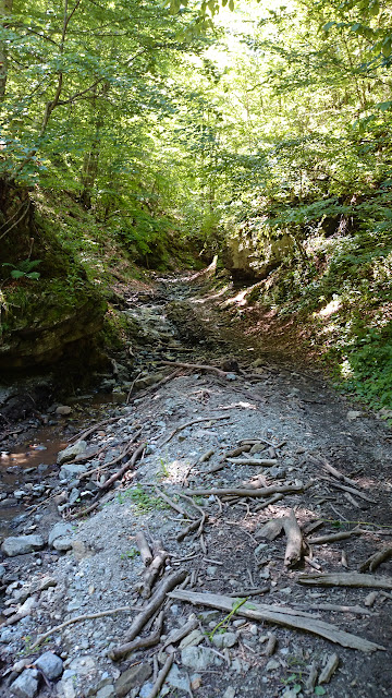 DSC_0041.JPG